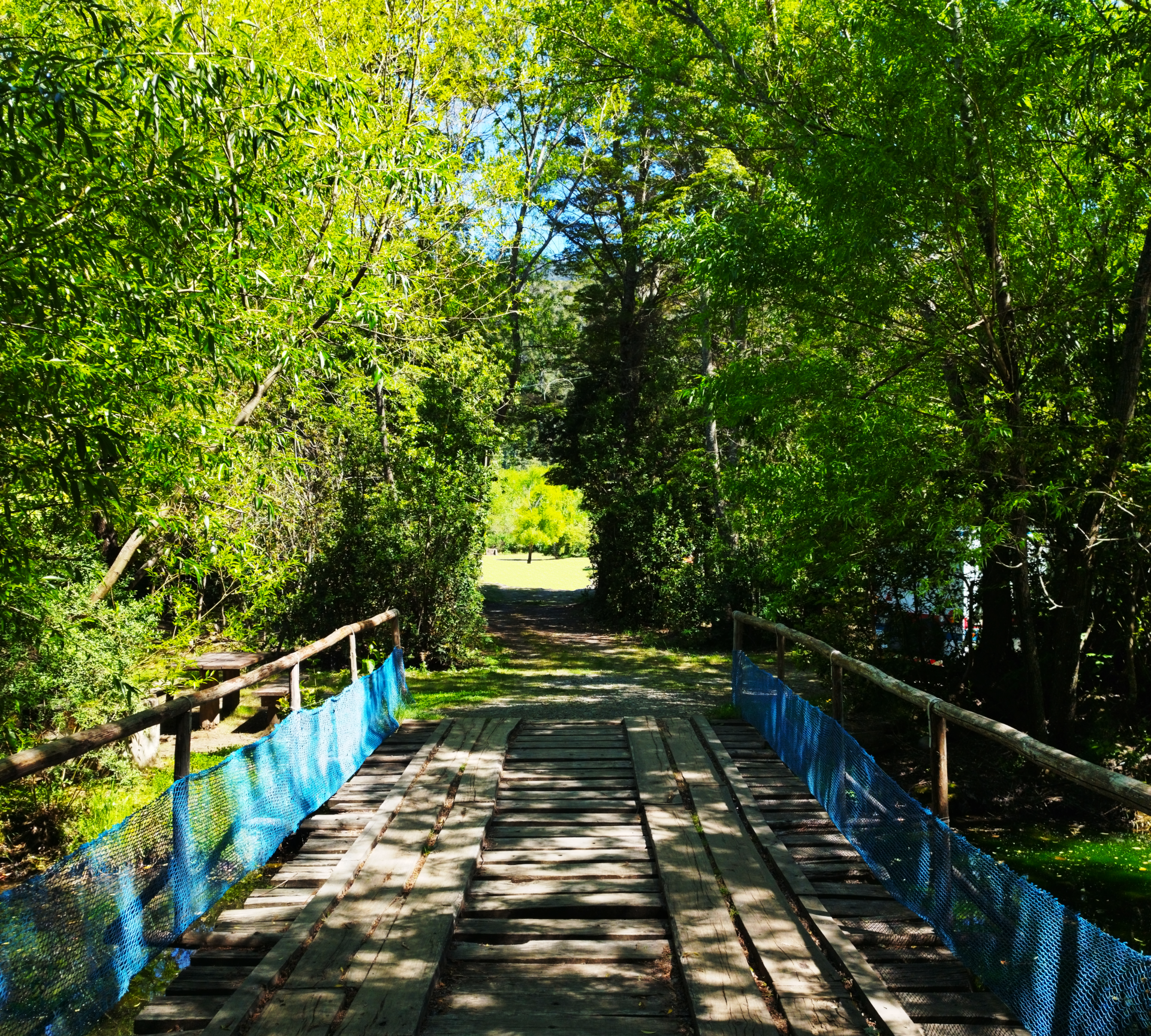 Puente que cruza el arroyo al Camping Rosa Morada en Lago Puelo